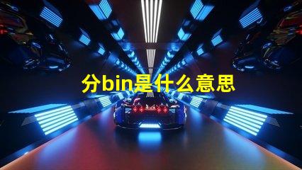 分bin是什么意思 bin目录是什么意思